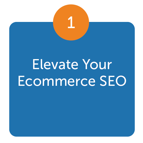 Elevate Your Ecommerce SEO