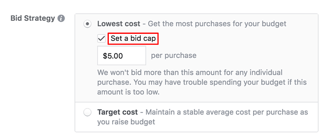 Facebook Paid Ad Mistake - Bid Cap is Too Low