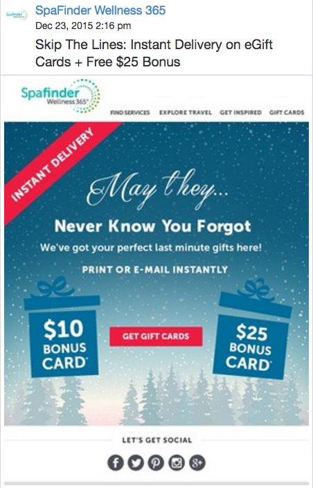 Holiday Email Marketing - SpaFinder Wellness 360