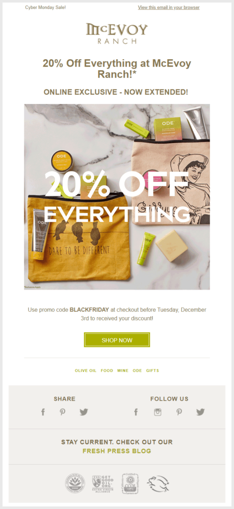 Ecommerce Send Promotional & Holiday Email Blasts